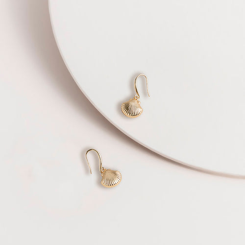 Pair of Shell Hook Earrings